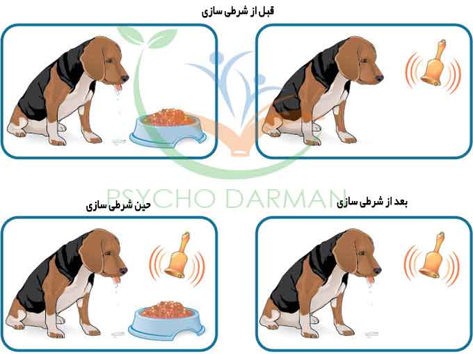 روانشناسی یادگیری