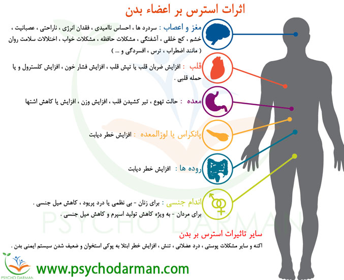 تاثیر استرس بر بدن