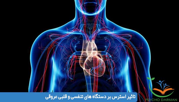 تاثیر استرس بر دستگاه های تنفسی و قلبی عروقی