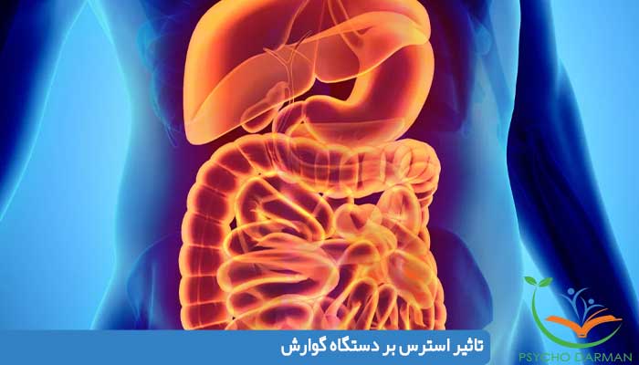 تاثیر استرس بر دستگاه گوارش