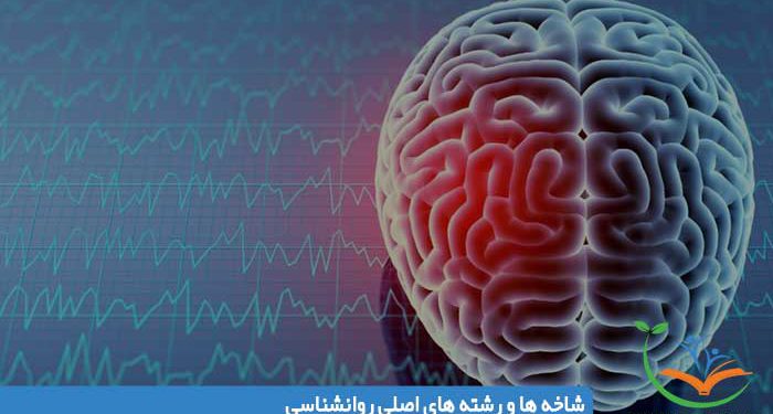 شاخه ها و رشته های اصلی روانشناسی