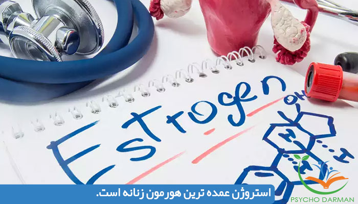 استروژن عمده ترین هورمون زنانه است.