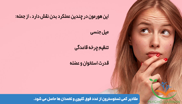 مقادیر کمی تستوسترون از غدد فوق کلیوی و تخمدان ها حاصل می شود.