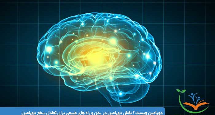 دوپامین چیست ؟ نقش دوپامین در بدن و راه های طبیعی برای تعادل سطح دوپامین