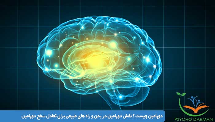 دوپامین چیست ؟ نقش دوپامین در بدن و راه های طبیعی برای تعادل سطح دوپامین